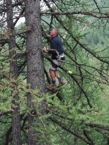 IMG 20170808 153437 225x300