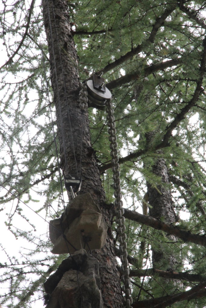 IMG 1844 e1550414296703 683x1024